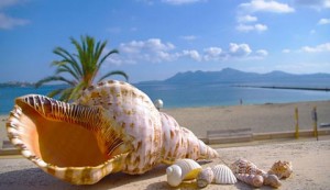 Puerto Pollensa