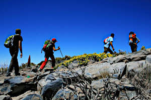 Walking on the Canary Islands