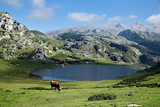 Lagos de Covadonga