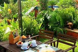 Guest house breakfast, garden