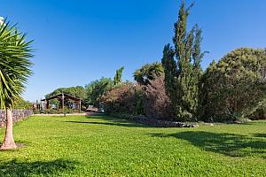 Lawned garden