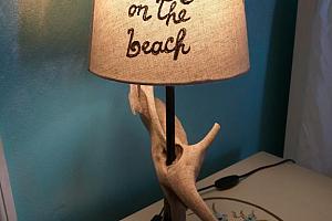 Donkey on the Beach