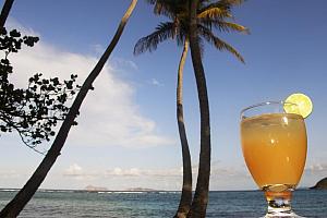 Cocktails amongst the palms
