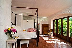 Very private room with forest view