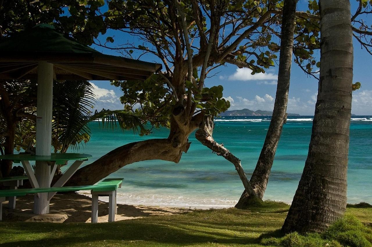 Sugar Reef Bequia