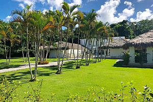 Manicured lawns