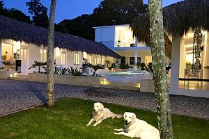 Rooms around the pool