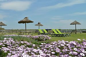 Sunbeds, lawn, garden, seaside