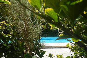 La Châtaigneraie swimming pool in the garden