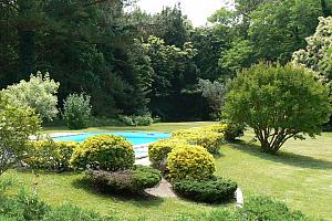 Swimming pool, lawn, garden