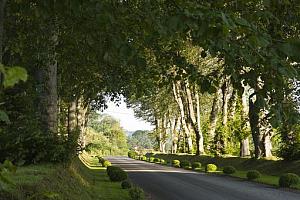 Luxury hotel, Normandy landing beaches