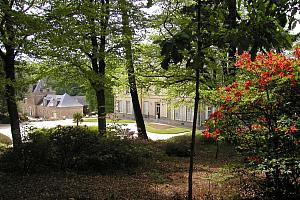 Hotel's wooded grounds