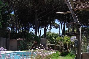 Pool, garden, pergola