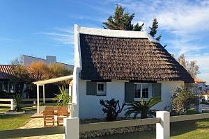 Cottage bungalow