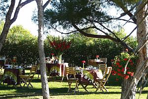 Côte d'Azur hotel garden