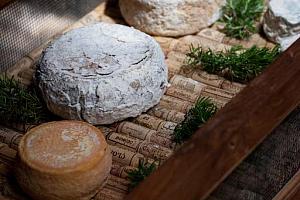 Artisan cheese