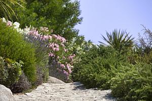 The Maquis garden