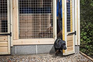 Pet accommodation, The Cookie Jar