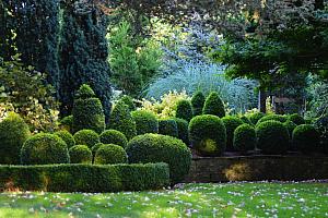 Hotel with gardens