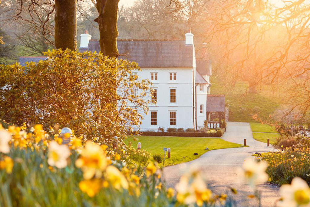 The Grove of Narberth