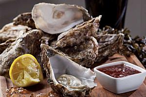  oysters in the Harbourmaster restaurant