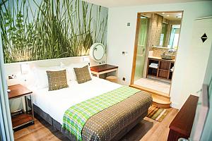 Standard double room