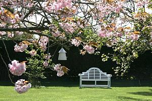 The Old Parsonage country house B&B