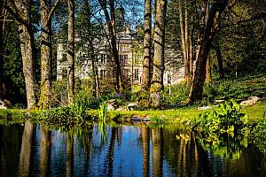 Lake in the grounds