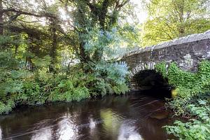 Pembrokeshire stream