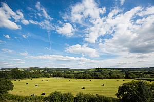 Towy Valley view