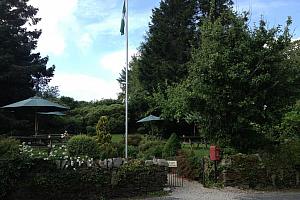 Hotel garden