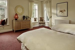 Garden view room