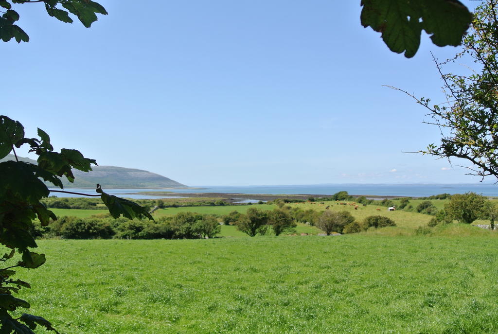 Drumcreehy Country House