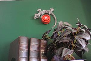 West coast of Ireland B&B