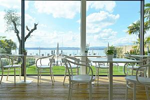 Dining room view