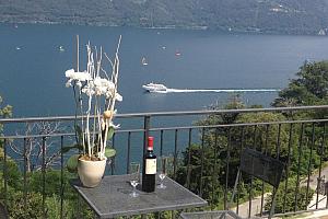 Glass of wine in the garden