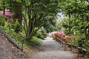 Garden with trees and shrubs
