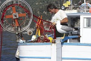 Fisherman, Marina del Cantone