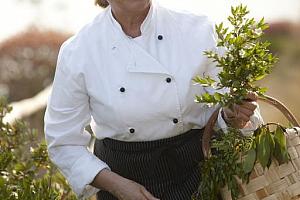 Picking herbs for Tavern del Capitano
