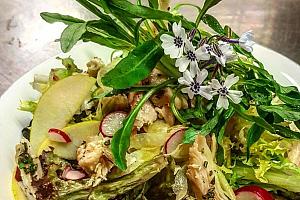 Salad