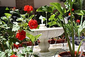 Patio Abadia Hotel