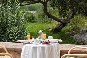 Breakfast in the garden