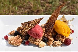 Gourmet meals, Majorca hotel