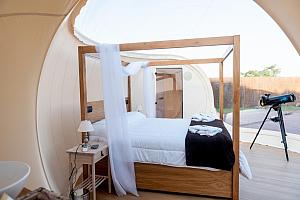 Luxury star capsule