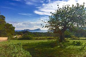 Ibiza countryside
