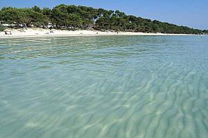 Beach, Alcudia, Mallorca