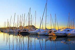 Denia marina