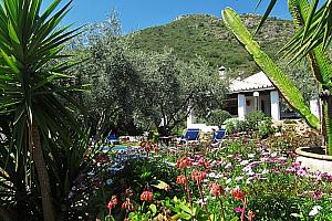 Casa Rosaleda, El Chorro Villas