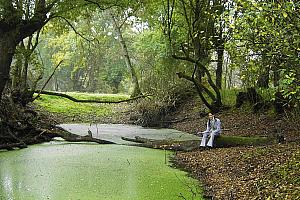 Woodland pond near Fervenza
