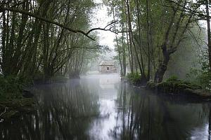 River, mill, mist